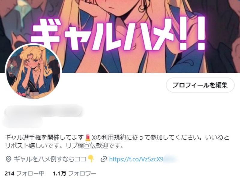 Akabuy アダルトアフィリエイト成功ガイド(X/Twitter編) - シャドウバンから永久凍結まで、絶対回避の極意 アダルトアフィリエイト成功ガイド(X/Twitter編) - シャドウバンから永久凍結まで、絶対回避の極意