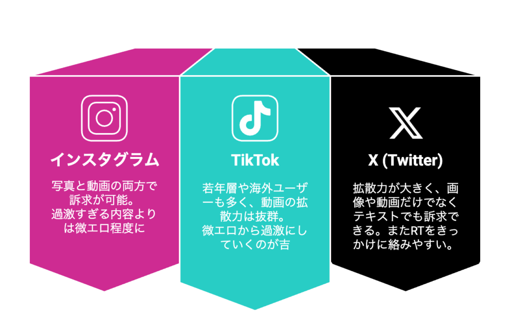 アダルトファンクラブへの導線のための各種SNSの特徴